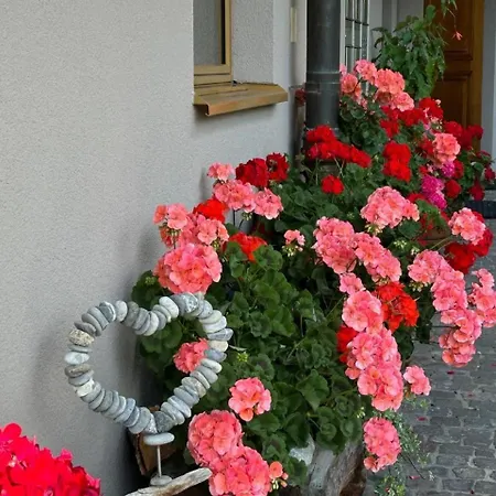 Katharina Von Allmen Apartman