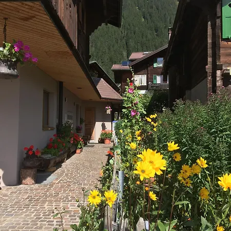 Katharina Von Allmen Apartman Wengen
